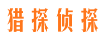 宿松婚外情调查